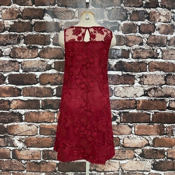 SIGNATURE ROBBIE BEE Dress NWT Red Lace Shift Size Small Petite SP - Picture 7 of 13